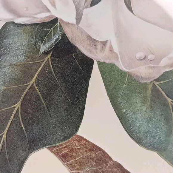 VTG Afternoon Magnolia Print By Waltraud Fuchs von Schwarzbek Matted & Framed - Picture 5 of 16